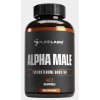 Alpha Male