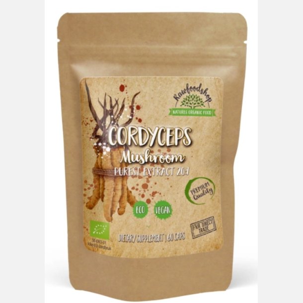 Cordyceps